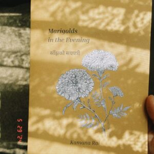 marigolds in the evening साँझको सयपत्री